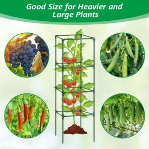 3Pack Tomato Cages for Garden,Square Tomato Plant Cage Support Heavy Duty Pole 57*15.4*15.4 Inches,Steel Plant Tower Stakes,Cherry Tomato Trellis Cucumber for Climbing Vegetables Flowers Fruits-Green