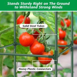 3Pack Tomato Cages for Garden,Square Tomato Plant Cage Support Heavy Duty Pole 57*15.4*15.4 Inches,Steel Plant Tower Stakes,Cherry Tomato Trellis Cucumber for Climbing Vegetables Flowers Fruits-Green