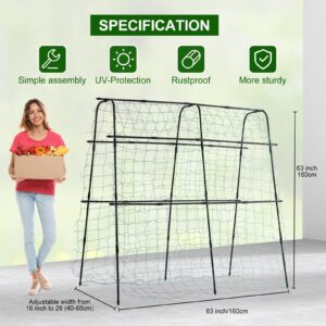 FOLLOOK Cucumber Trellis for Garden, 5ft Tall Metal Pea Tunnel Garden Arch Trellis for Climbing Plants Outdoor, A-Frame Trellis Support Vegetables Squash Cucumber Trellis for Raised Bed, Lightweight