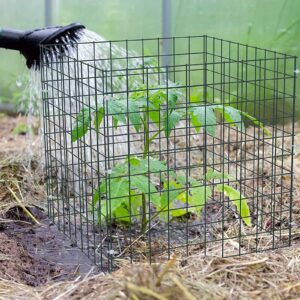 Small Wire Plant Protectors, 6 Pack Square Plant Protectors from Animals Mesh Plant Cage Chicken Wire Cover for Protect Plants, Garden,Shrubs and Vegetables from Animals(12x12 in)