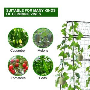 FOLLOOK Cucumber Trellis for Garden, 5ft Tall Metal Pea Tunnel Garden Arch Trellis for Climbing Plants Outdoor, A-Frame Trellis Support Vegetables Squash Cucumber Trellis for Raised Bed, Lightweight