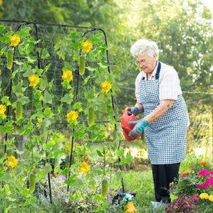 FOLLOOK Cucumber Trellis for Garden, 5ft Tall Metal Pea Tunnel Garden Arch Trellis for Climbing Plants Outdoor, A-Frame Trellis Support Vegetables Squash Cucumber Trellis for Raised Bed, Lightweight