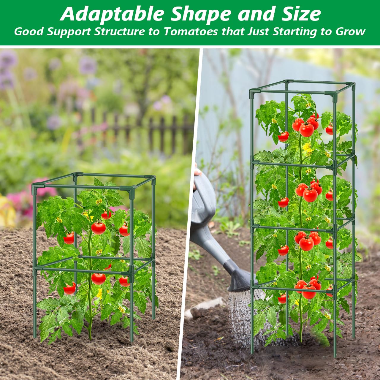 3Pack Tomato Cages for Garden,Square Tomato Plant Cage Support Heavy Duty Pole 57*15.4*15.4 Inches,Steel Plant Tower Stakes,Cherry Tomato Trellis Cucumber for Climbing Vegetables Flowers Fruits-Green