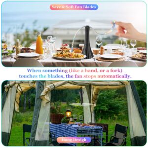 Fly Fans for Tables Rechargeable, Fly Fans for Outdoor Tables USB, Fly Fans to Keep Flies Away by Soft Blades, Food Fans for Camping, Picnic, Fishing, 4PCS, Black