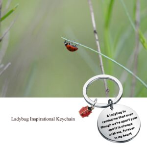 KUIYAI Ladybug Sympathy Gift Memorial Gift Condolences Gift Remembrance Gift Bereavement Gift Family Loss Gift For Grieving Friend (LadybugK)