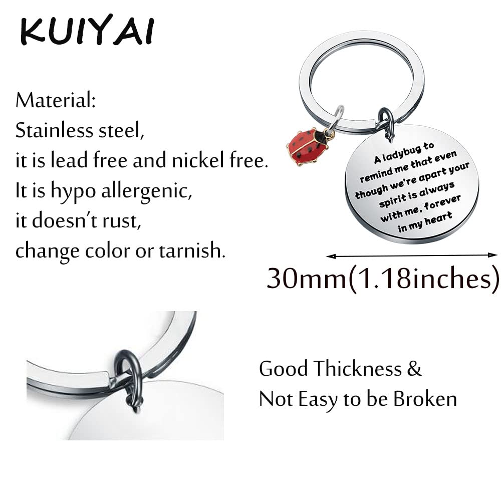 KUIYAI Ladybug Sympathy Gift Memorial Gift Condolences Gift Remembrance Gift Bereavement Gift Family Loss Gift For Grieving Friend (LadybugK)