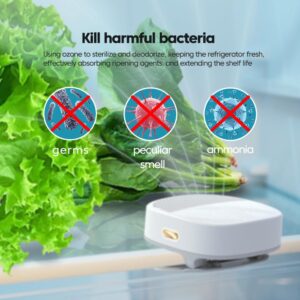 Yottew Fridge Deodorizer Rechargeable Refrigerator Deodorizer Air Freshener Reusable Fridge Odor Eliminator for Fridge, Car, Closet, Wardrobe，Green