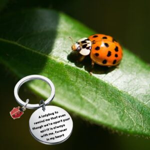 KUIYAI Ladybug Sympathy Gift Memorial Gift Condolences Gift Remembrance Gift Bereavement Gift Family Loss Gift For Grieving Friend (LadybugK)