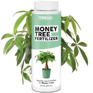 money tree fertilizer for money trees and all pachira plants, liquid plant food 8 oz (250ml)