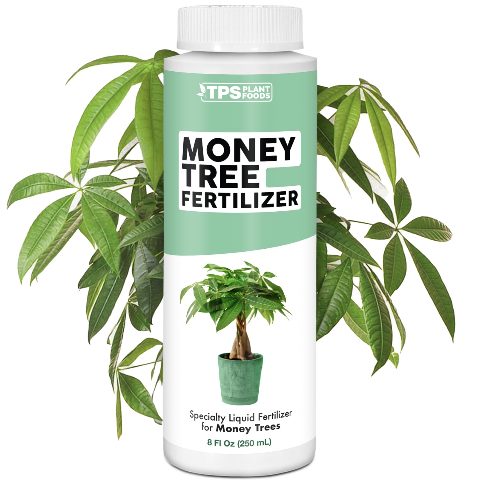 Money Tree Fertilizer for Money Trees and All Pachira Plants, Liquid Plant Food 8 oz (250mL)