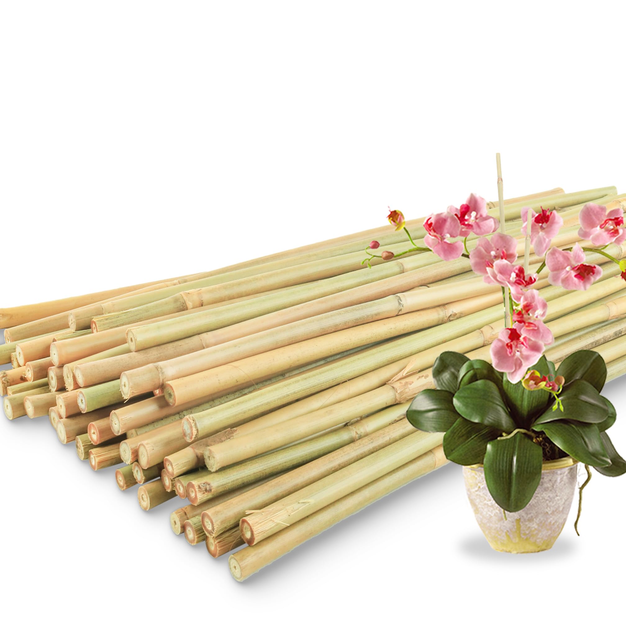 50Pcs Bamboo Plant Stakes for Indoor Outdoor Plants, 0.32''-0.4''/18 Inch Bamboo Sticks Garden Support Stakes Bamboo Poles Trellis for Tomato Vegetables Beans Trees Potted Climbing Plants