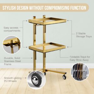 Multifunctional 2-Tray Utility Cart on Wheels - Gold 2-Level Medical Trolley Cart - Mobile Storage Tray Cart for Dental Tools, Cavitation Machine, Salon Supplies - Brass Foldable Storage Trays