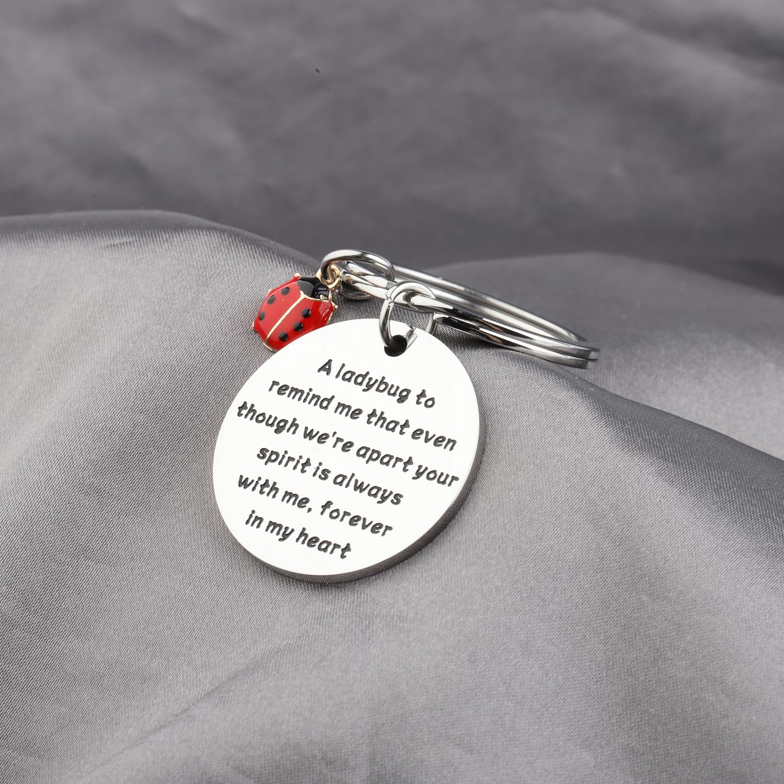 KUIYAI Ladybug Sympathy Gift Memorial Gift Condolences Gift Remembrance Gift Bereavement Gift Family Loss Gift For Grieving Friend (LadybugK)