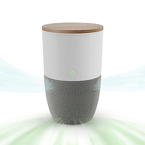 Dupray Bloom™ Air Purifier for Large Rooms with Planter or Custom Accent Table Design | For Home, Bedroom, Office, Dust, Pets | H13 HEPA Air Filtration (Accent Table - Walnut, Cloudy Gray)