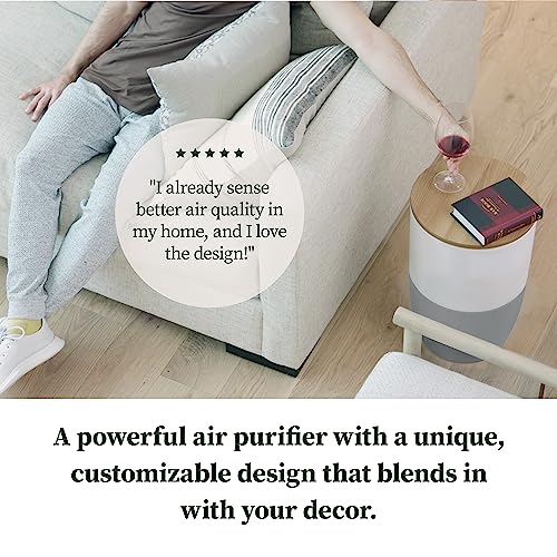 Dupray Bloom™ Air Purifier for Large Rooms with Planter or Custom Accent Table Design | For Home, Bedroom, Office, Dust, Pets | H13 HEPA Air Filtration (Accent Table - Walnut, Cloudy Gray)