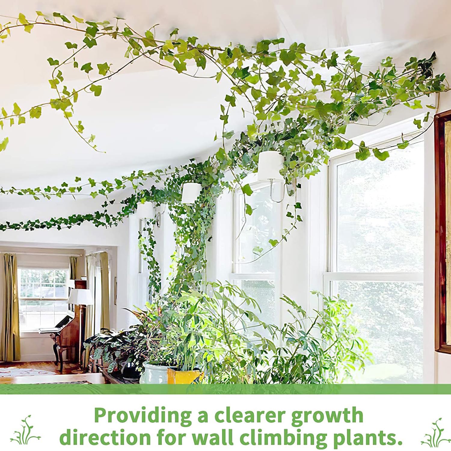 LUOTIVON 72 Pcs Plant Climbing Wall Fixture Clips, Plant Fixer Invisible Wall Vines Fixing Clips with 72 Pcs Acrylic Adhesive Sticker, Self-Adhesive Hook Plant Vine Support Holder