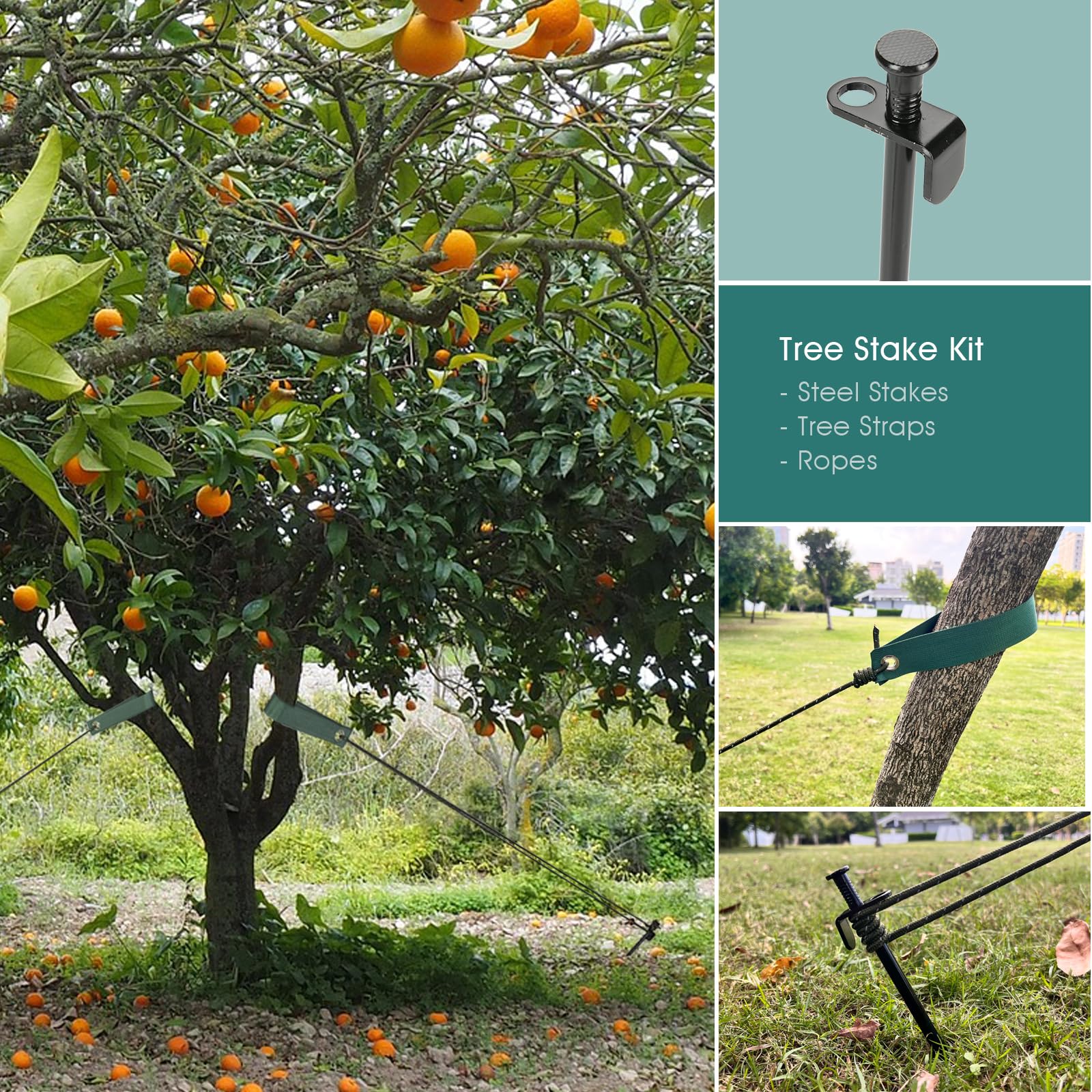 Tree Stake Kit, Fetanten 15.8 Inch Heavy Duty Steel Tree Stakes and Supports Kit for Leaning Trees Against Strong Wind, with 3 Pieces Tree Straps and Rope (13.12 Feet) Perfect Tree Straightening