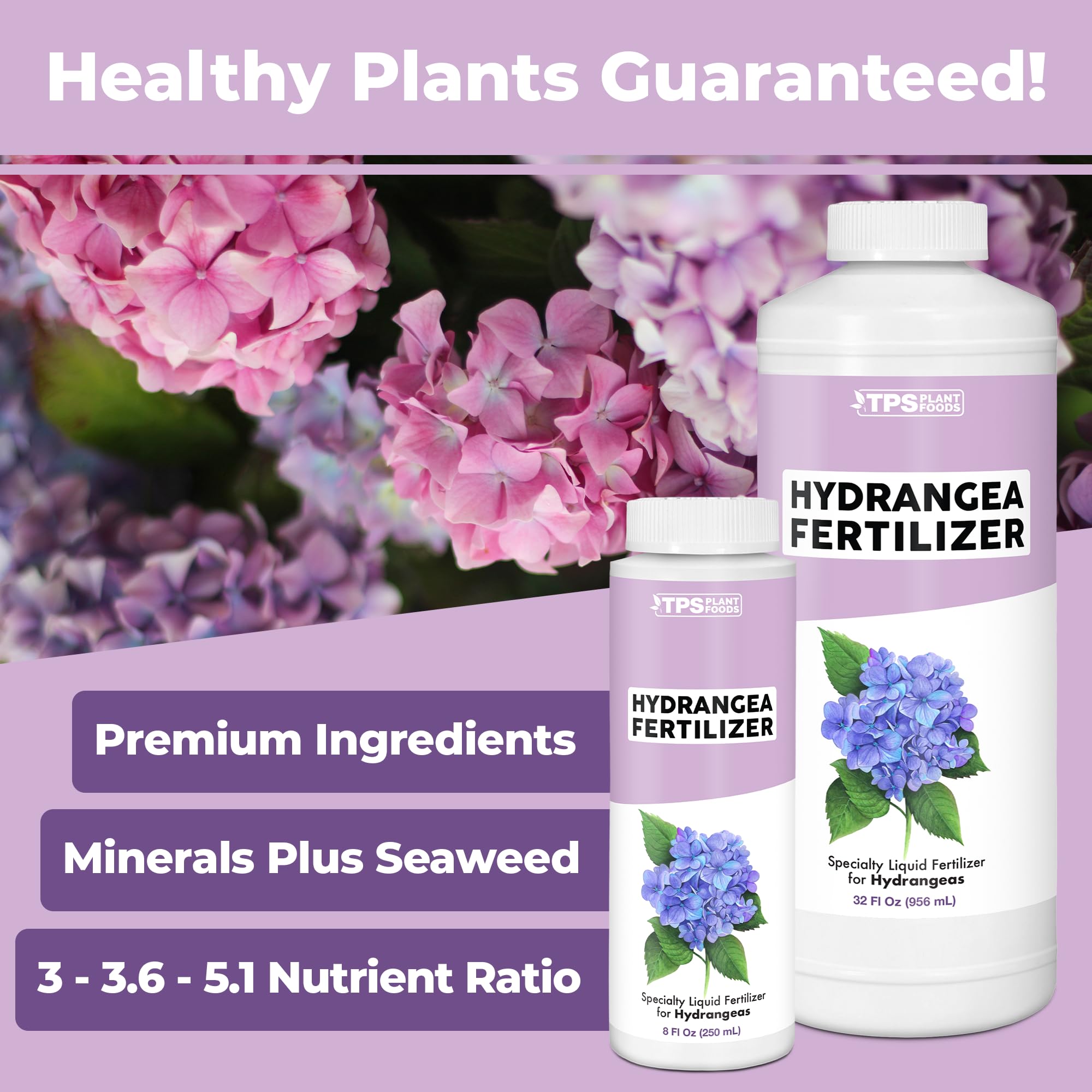 Hydrangea Fertilizer for Acid Loving Plants, Liquid Plant Food 8 oz (250mL)