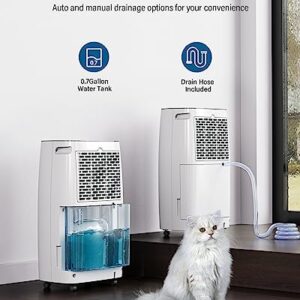 32-Pint Dehumidifier for Basement and Large Room - 2000 Sq. Ft, Quiet Dehumidifier for Large Capacity Room Home Bathroom Basements - Auto Continuous Drain Remove Moisture with Child Lock