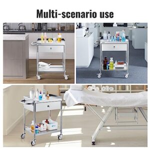 VEVOR Medical Trolley, Dual-Tier Stainless Steel Trolley with a 220 lbs Load Limit, Equipped with Quiet 360° Casters and a Drawer, Ideal for Laboratories, Clinics, Kitchens, and Salons\