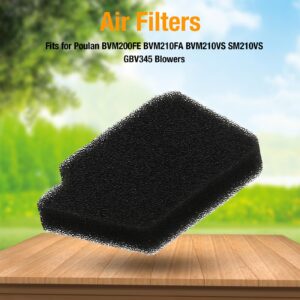 4pcs 545146501 Air Filter Replacement for Poulan BVM200FE BVM210FA BVM210VS SM210VS GBV345 Blowers Replacement for Craftsman 358794780 358794770 Leaf Blower