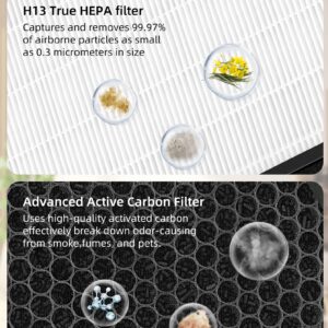 Vital 100s HEPA Replacement Filter Compatible with LEVOIT Vital 100S Air Pur-ifier 3-in-1 True HEPA High-Efficiency Activated Carbon Replace Part #Vital 100S-RF, 2 Pack