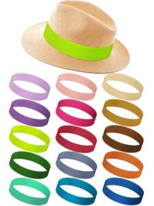 liitrsh 15 pcs stretchable ribbon panama cowboy hat accessories for women and men (warm colors)