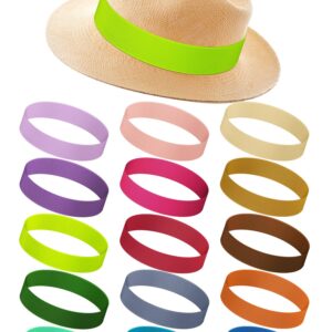 Liitrsh 15 Pcs Stretchable Ribbon Panama Cowboy Hat Accessories for Women and Men (Warm Colors)