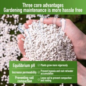 2QT Perlite for Plants Organic Perlite Horticultural Soil Amendment for Indoor & Outdoor Container Plants and Enhanced Drainage Enhanced Growth, Promote Root Growth and Soil Health