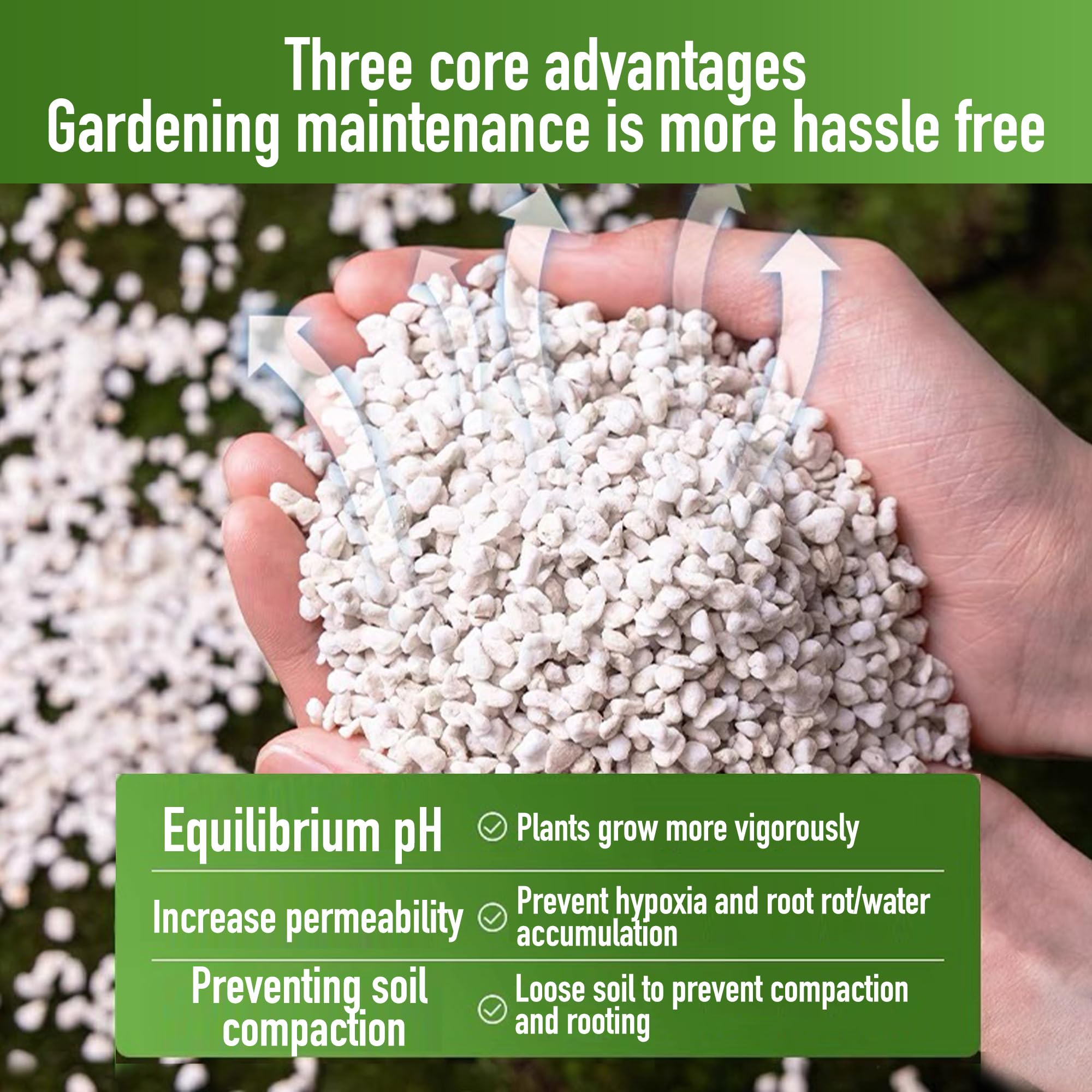 2QT Perlite for Plants Organic Perlite Horticultural Soil Amendment for Indoor & Outdoor Container Plants and Enhanced Drainage Enhanced Growth, Promote Root Growth and Soil Health