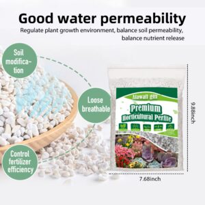 2QT Perlite for Plants Organic Perlite Horticultural Soil Amendment for Indoor & Outdoor Container Plants and Enhanced Drainage Enhanced Growth, Promote Root Growth and Soil Health