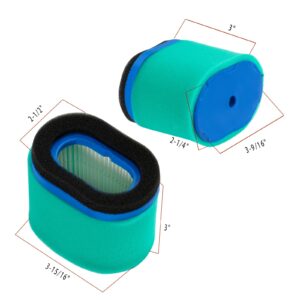 DemJamr 2Pack 697029 Air Filter with 273356S Pre Filter Replace for BS 498596 498596S 697029 697029S 690610 Air Cleaner, Compatible with BS 4207 5059K 5059D 5059H Series Engines