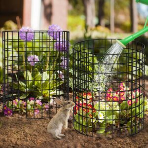 Keten 5 Pack Plant Protector from Animals, 15pcs Metal Mesh to Keep Animals Out, 13.7'' Dia x 13.7'' H Plant Cages, Garden Protection Bunny Barricades from Chicken Squirrels for Flowers & Vegetables