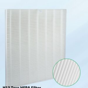 BBT BAMBOOST D480 True HEPA Replacement Filter D4 Compatible with Winix D480 Air Purifier, 1 True HEPA and 2 Activated Carbon Filters, Item Number 1712-0100-00