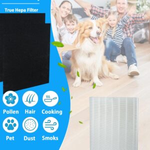 BBT BAMBOOST D480 True HEPA Replacement Filter D4 Compatible with Winix D480 Air Purifier, 1 True HEPA and 2 Activated Carbon Filters, Item Number 1712-0100-00