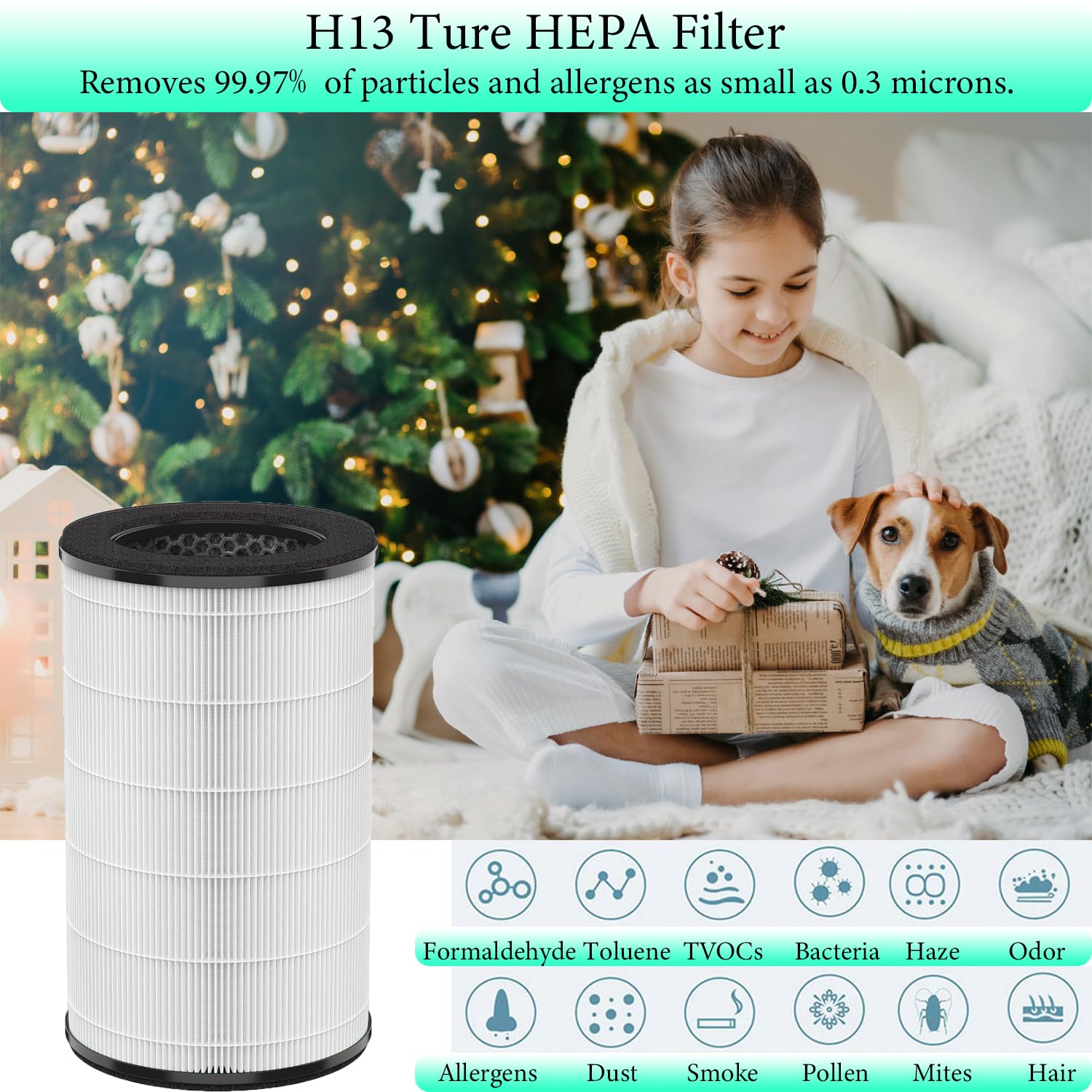 AP-T30 Replacement Filter,Compatible with Homedics Air Purifier AP-T30, AP-T30WT, AP-PET35,AP-PET35-WT, 3-in-1 H13 True HEPA Air Purifier Filter Replacement,Part# AP-T30FL AP-PET35FL,1-Pack