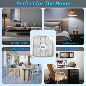 EZ-CHILL 20” Box Fan, 3 Speed Full-Force Air Circulation Window Fan, Floor Fan, Bedroom Fan, Ideal for Home, Bedroom & Office, MTNBF20