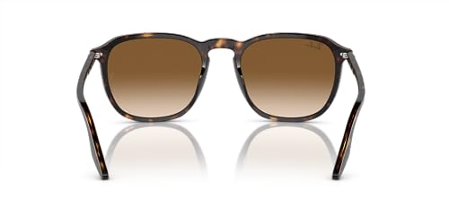 Ray-Ban RB2203 Square Sunglasses, Havana/Clear Gradient Brown, 52 mm