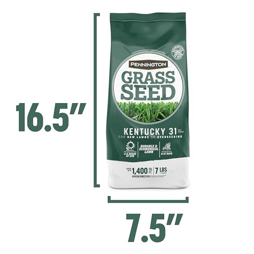 Pennington Kentucky 31 Tall Fescue Penkoted Grass Seed 7 lb