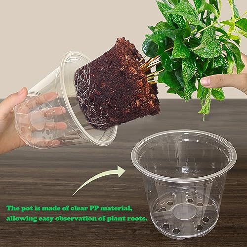 RAOOKIF 30 Pack 5/6/7 Inch Reinforced Clear Nursery Pots with Drainage Holes, Clear Nursery pots Variety Pack, Transparent Plastic Plant Pots for Seedlings, Clear Seed Starters