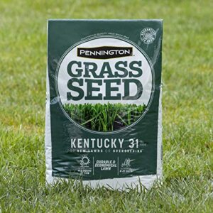 Pennington Kentucky 31 Tall Fescue Penkoted Grass Seed 7 lb