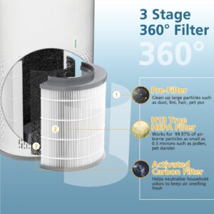 2 PACK True HEPA Replacement Filter Compatible with Clorox 11030 & 11031 Air Purifier, Medium Room up to 1,000 Sq. Ft. 3-in-1 H13 True HEPA Filter (12030)