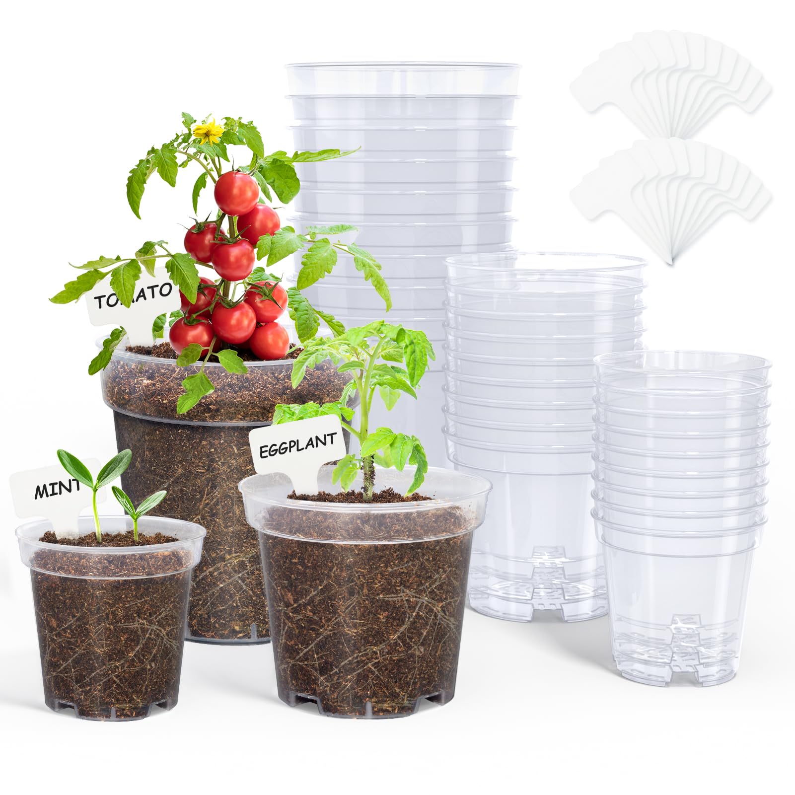 homenote Clear Nursery Pots for Plants,3/4/5 Inch Plant Pot for Planting Plastic Seedling Pots with Drainage Holes Seed Starter Pot Flower Pots High Transparency with 20 Plant Labels (30 Pack)