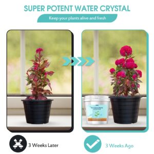 5LB Water Storing Crystals for Plants with Spoon, Water Gel Solves Plant Over-Watering and Drought Problems, Keeps The Soil Moist, Small Water Storing Polymer Crystals for Plants Powder - by Oycevila