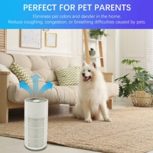 Nuwave Air Purifiers for Home Large Room Up to 857ft², XXL H13 True HEPA Air Purifier for Bedroom 17dB, 3 Fan Speeds, 0.3 Microns, Remove 99.97% of Airborne Dust, Smoke, Pollen, Pet Hair, Odor