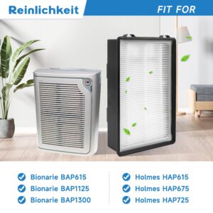 Reinlichkeit 3 pack Hapf600 Replacement Filters B Compatible with Holmes HAPF600D,HAPF600D-U2,HAP615, HAP650,HAP675