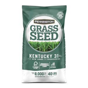 pennington kentucky 31 tall fescue penkoted grass seed 40 lbs