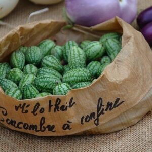 70pcs Cucamelon Seeds - Mexican Sour Gherkin Mini Thumb Watermelon Vegetable - Easy Planting Tips for Home Gardeners