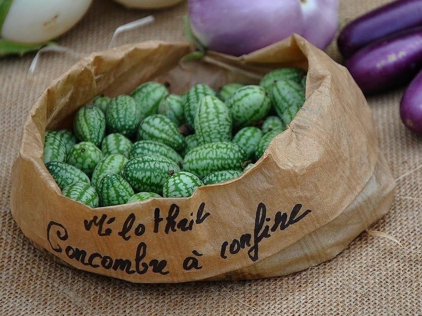 70pcs Cucamelon Seeds - Mexican Sour Gherkin Mini Thumb Watermelon Vegetable - Easy Planting Tips for Home Gardeners