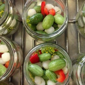 70pcs Cucamelon Seeds - Mexican Sour Gherkin Mini Thumb Watermelon Vegetable - Easy Planting Tips for Home Gardeners